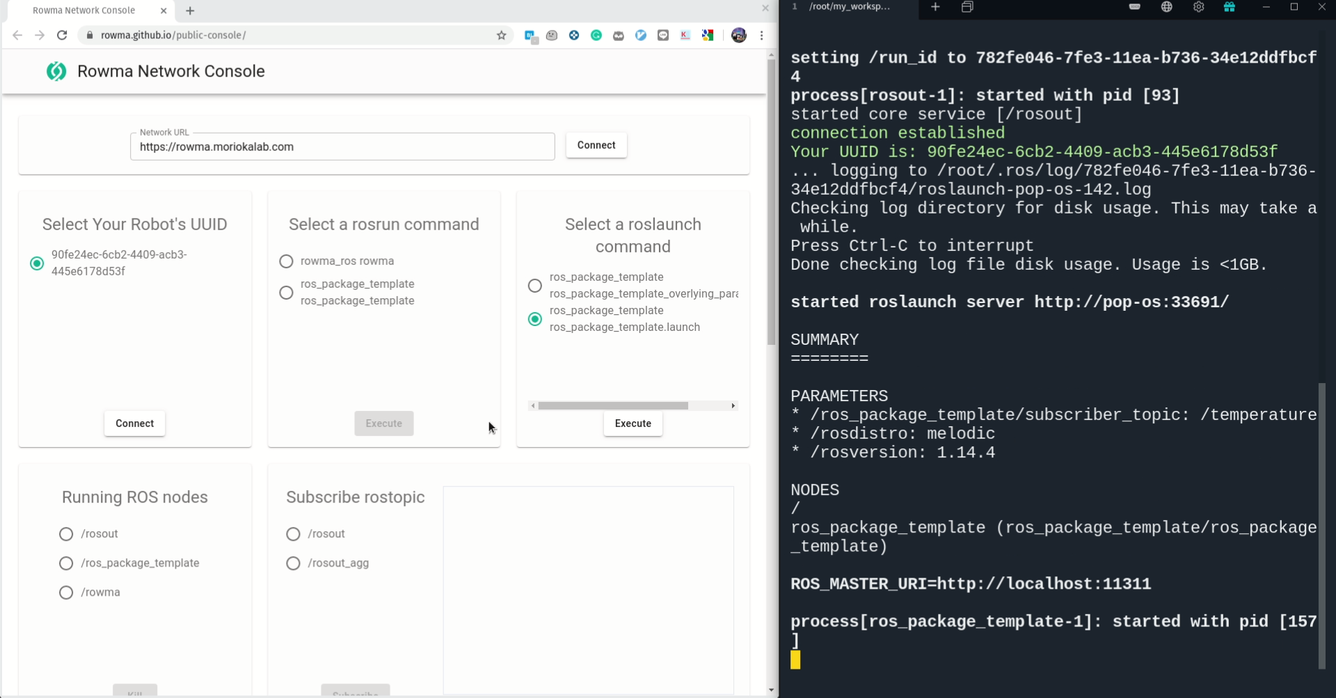 roslaunch-terminal